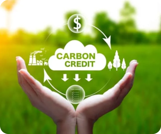 Sustainability & Carbon Impact